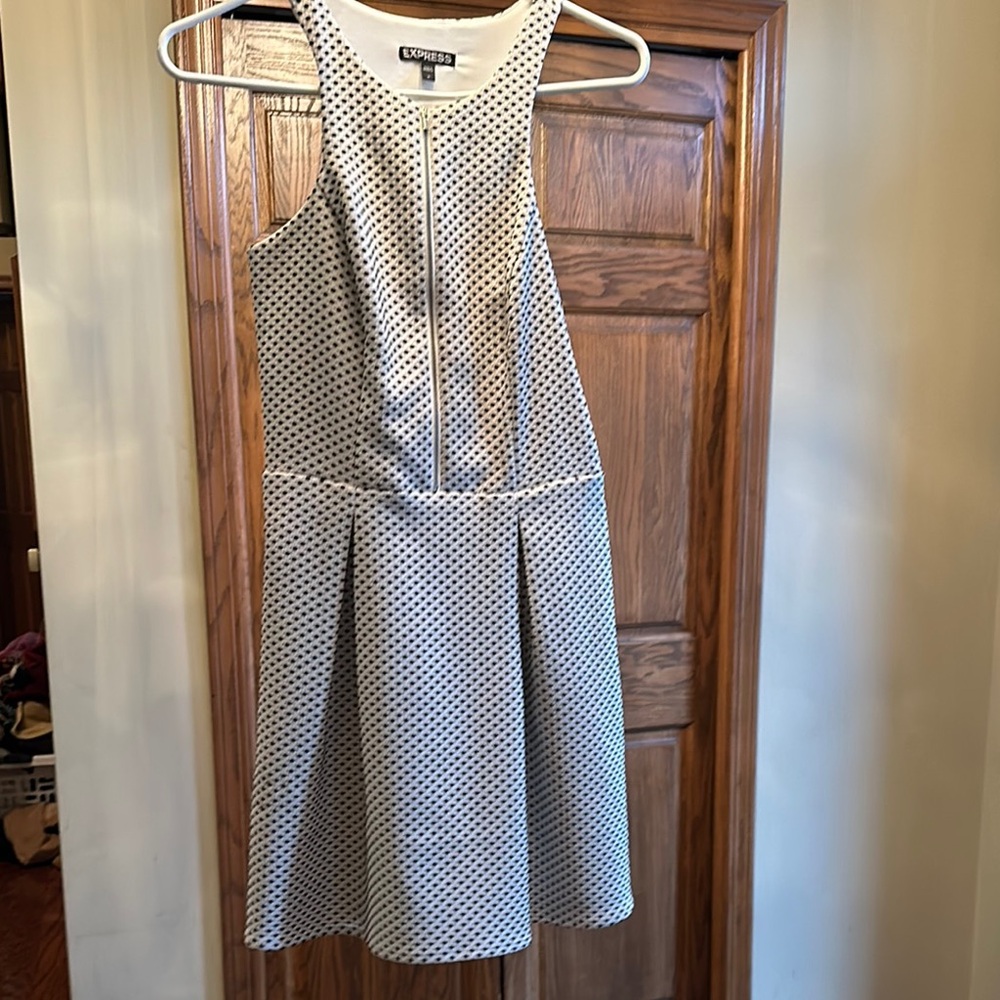 Express Sleeveless Dress!